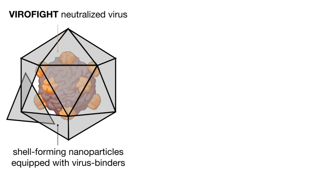 Stilisierte Darstellung eines Virus, das in eine polygonale Hülle eingeschlossen ist. 