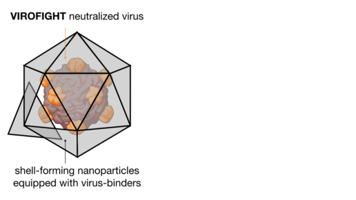 Stilisierte Darstellung eines Virus, das in eine polygonale Hülle eingeschlossen ist. 