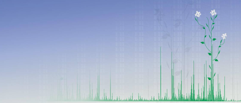 By mapping more than 18,000 proteins, TUM scientists have created an extensive molecular reference for the popular model plant Arabidopsis thaliana, which is freely accessible via the online database "ProteomicsDB". Image: Lehrstuhl für Proteomik und Bioanalytik