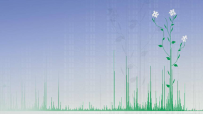 By mapping more than 18,000 proteins, TUM scientists have created an extensive molecular reference for the popular model plant Arabidopsis thaliana, which is freely accessible via the online database "ProteomicsDB". Image: Lehrstuhl für Proteomik und Bioanalytik