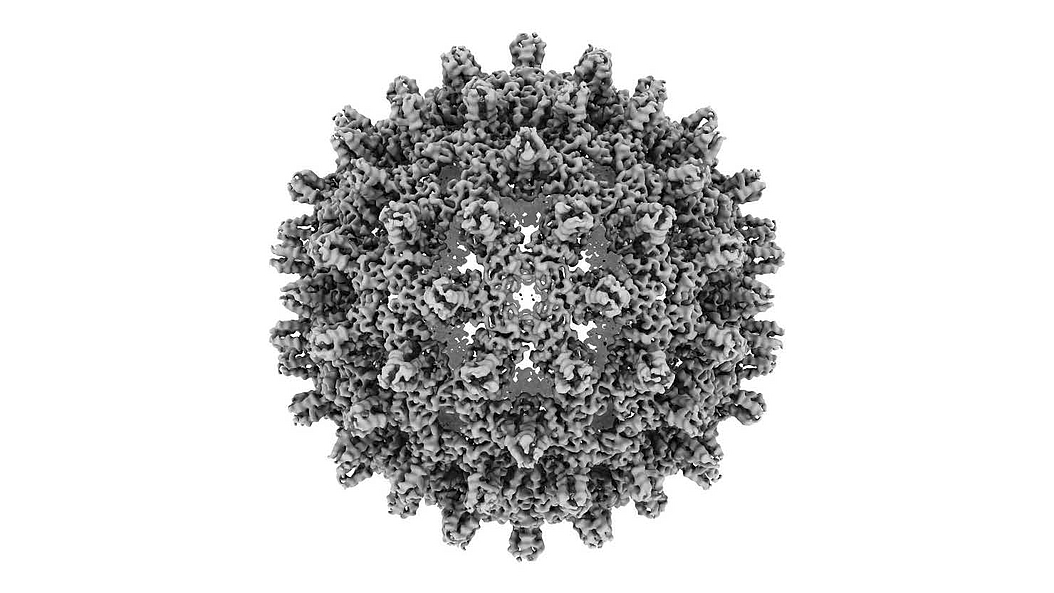 Hepatitis B virus Capsid Image: Christian Sigl / TUM