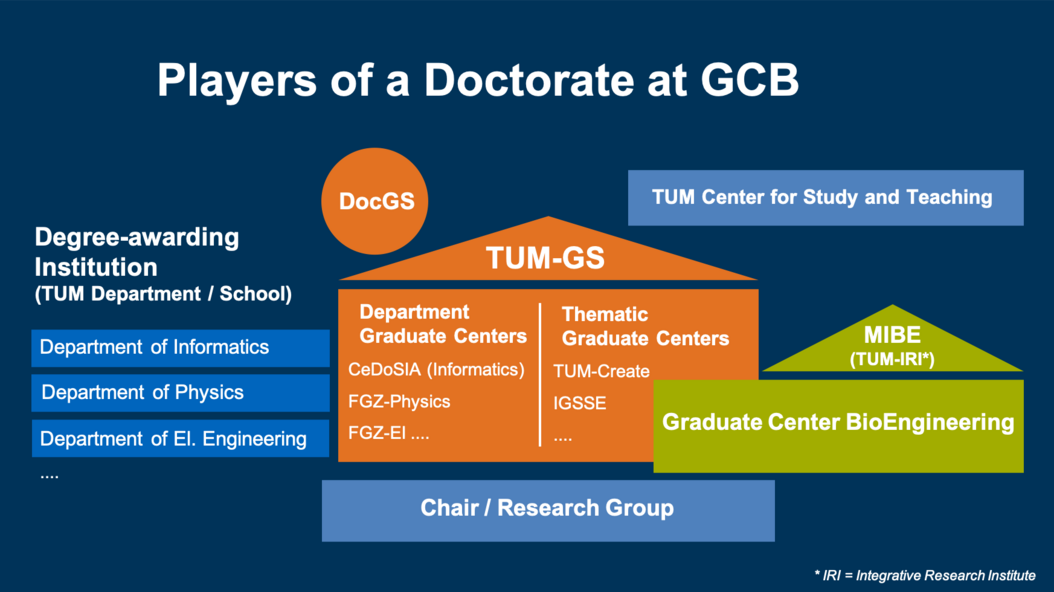 Players of a doctorate at GCB. Find details in the following section players and responsibilities / what issue to address where 