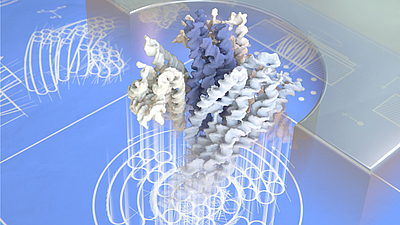 DNA nanoturbine
