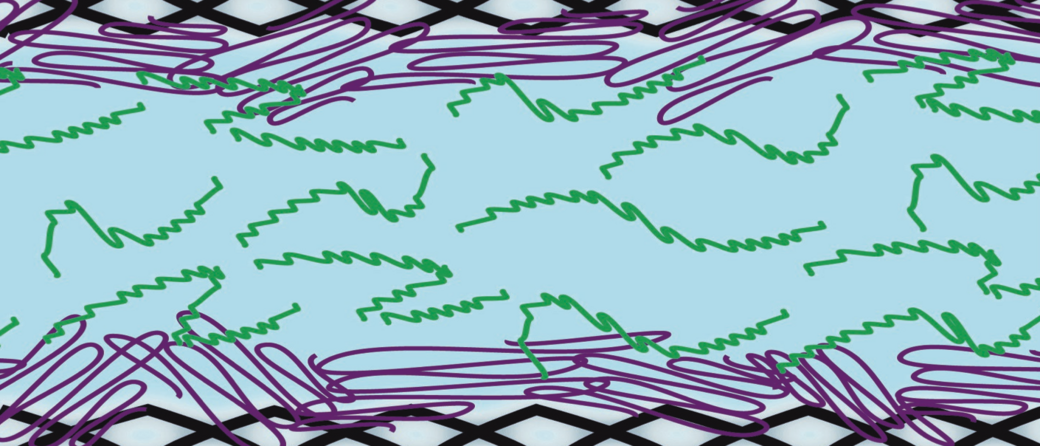 The lubrication technology for the implant will be based on the interaction between different kinds of polymer molecules. While molecules of one kind will be attached to the inner surface of the implant, others will be dispersed in the fluid. Image: Maria Bauer / TUM 