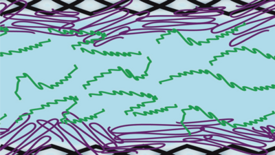 The lubrication technology for the implant will be based on the interaction between different kinds of polymer molecules. While molecules of one kind will be attached to the inner surface of the implant, others will be dispersed in the fluid. Image: Maria Bauer / TUM 