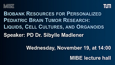 Gastvortrag von PD Dr. Sibylle Madlener, Mittwoch, 19. November, 14:00 Uhr, MIBE Hörsaal