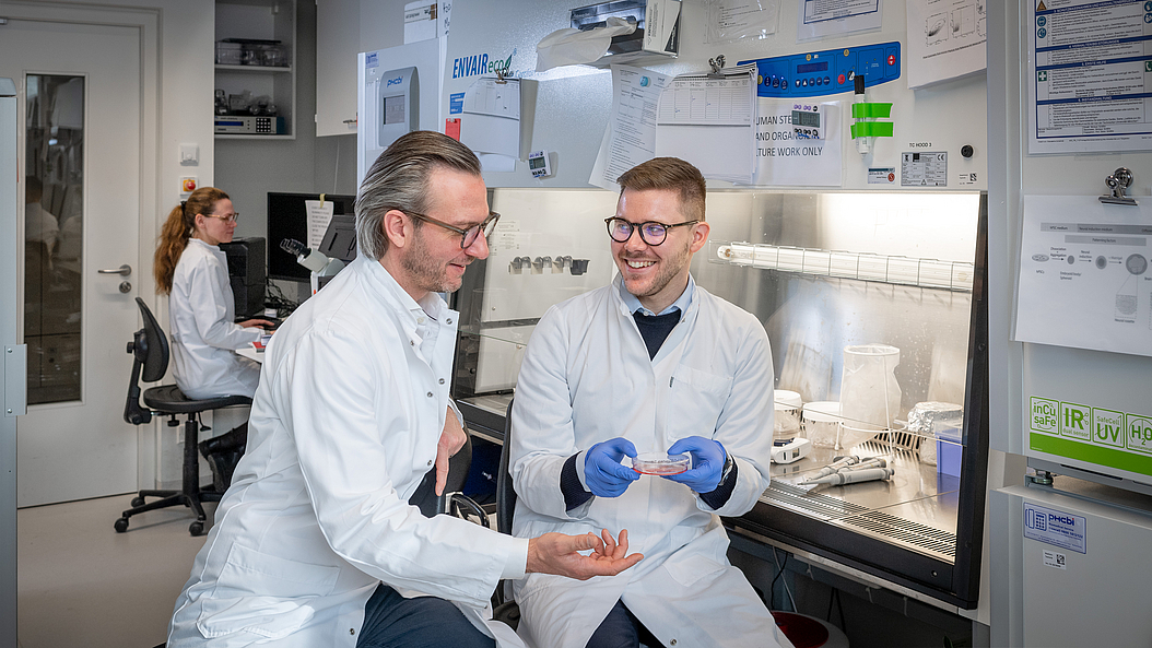 Prof. Maximilian Reichert (left) and doctoral candidate Aris Papargyriou working in the lab. They have developed organoids that emulate the diversity of pancreatic cancer. Image: Andreas Heddergott / TUM