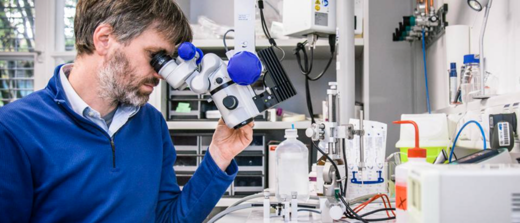 Prof. Thomas Misgeld ist Direktor des Instituts für Zellbiologie des Nervensystems an der TUM und Koordinator des Exzellenzclusters SyNergy. Bild: ediundsepp