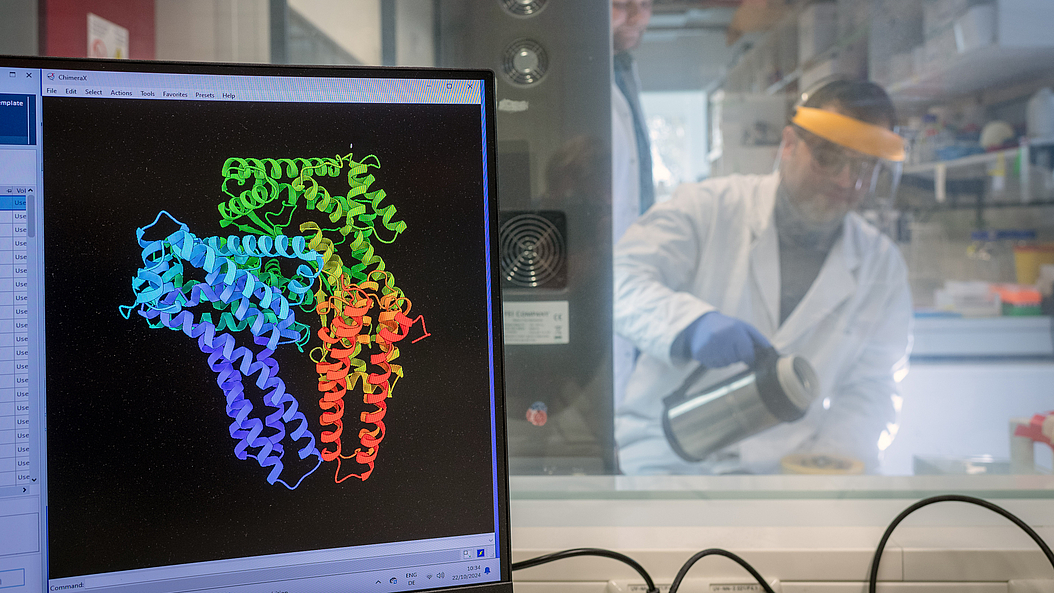 Researchers have developed a method for designing large new proteins better than before and producing them with the desired properties in the laboratory. Image: Andreas Heddergott / TUM