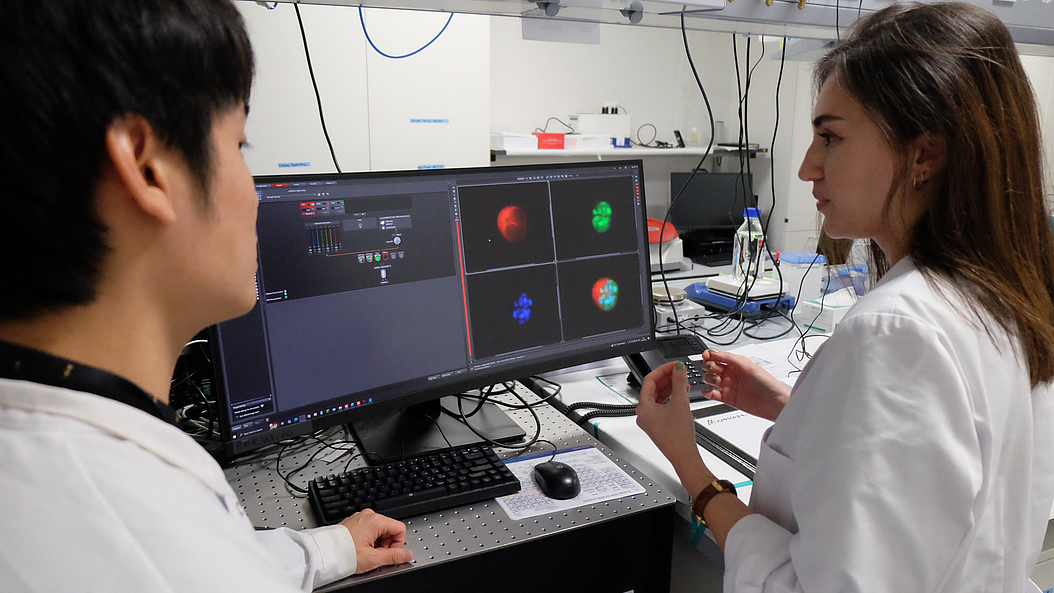 The researchers Chen Wang and Nergishan Iyisan (right) from the Microrobotic Bioengineering Lab at the Technical University of Munich (TUM) discuss the developmental stages of stem cells. Image: Andreas Schmitz / TUM