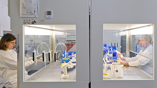 Cell cultivation in a safety cabinet at MIBE  Image: Astrid Eckert, Andreas Heddergott / TUM
