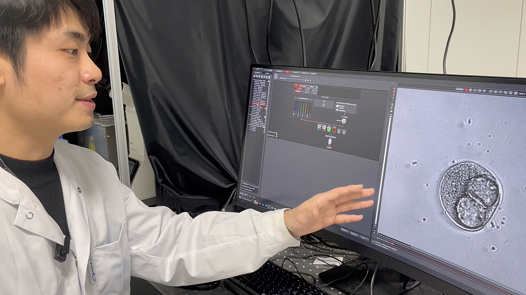 Researcher Chen Wang watches the differentiation into a bone cell. Image: Andreas Schmitz / TUM