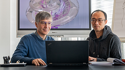 Prof. Dr. Werner Hemmert and Dr. Siwei Bai have developed a computer model which predicts the neuronal activation patterns that cochlea implants create in the auditory nerve. Image: Andreas Heddergott / TUM