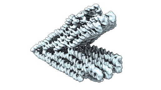 De-novo designed DNA nanonostructure  Bild: Fabian Kohler / TUM