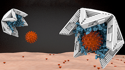 Lined on the inside with virus-binding molecules, nano shells made of DNA material bind viruses tightly and thus render them harmless. Image: Elena-Marie Willner / DietzLab