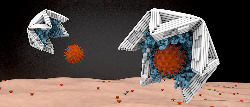 Lined on the inside with virus-binding molecules, nano shells made of DNA material bind viruses tightly and thus render them harmless. Image: Elena-Marie Willner / DietzLab