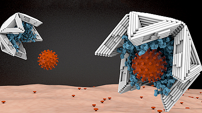 Auf der Innenseite mit Virus-bindenden Molekülen ausgekleidet, binden Nano-Halbschalen aus DNA-Material Viren an sich und machen sie damit unschädlich. Bild: Elena-Marie Willner / DietzLab