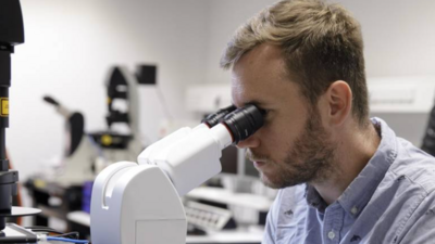 First author Benedikt Buchmann at the microscope. Through time-resolved observation of the cells, the research team was able to investigate the interactions between the organoid cells and the surrounding collagen in detail. Image: M. Kratzer / TUM