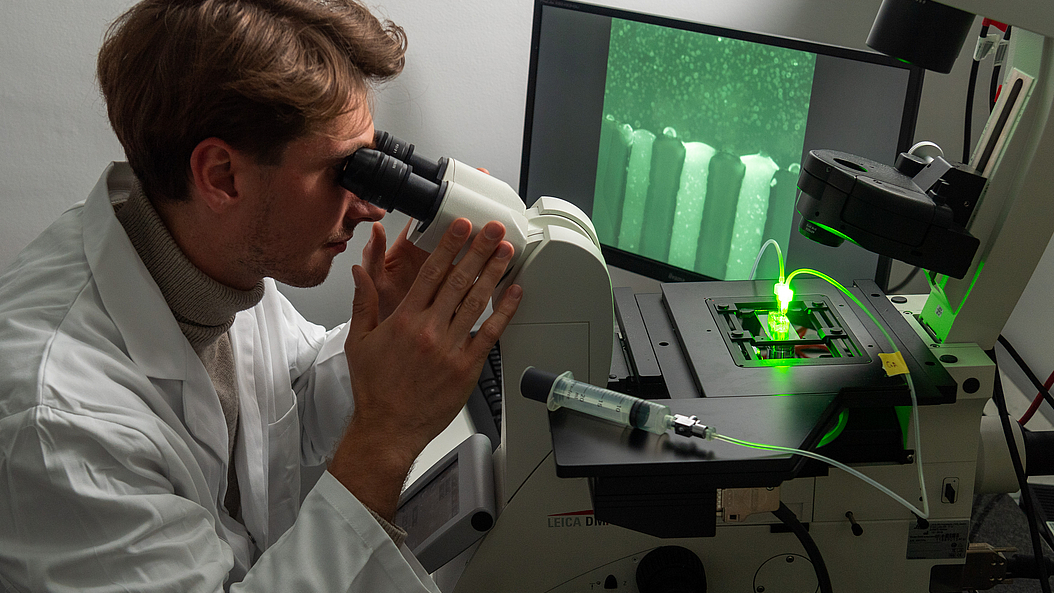 Researchers examine mucin interfaces with microfluidic chips. In this setup, green fluorescent nanoparticles are penetrating the mucin gel. Image: Andreas Heddergott / TUM