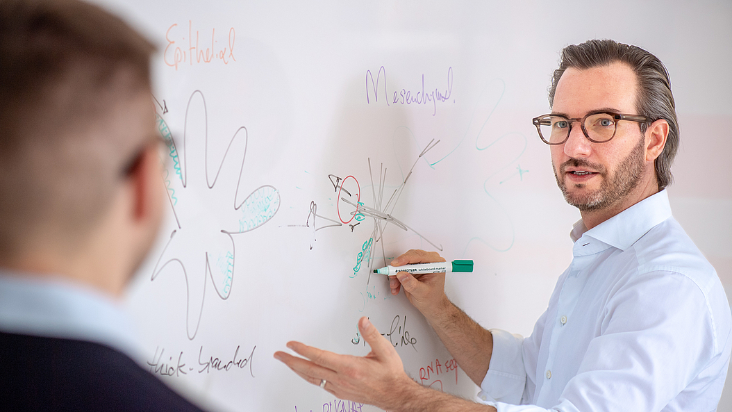 Prof. Maximilian Reichert and his team have developed organoids that represent the diversity of pancreatic cancer. They are using them to explore new therapeutic options. Image: Andreas Heddergott / TUM