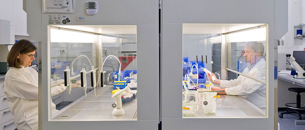 Cell cultivation in a safety cabinet at MIBE  Image: Astrid Eckert, Andreas Heddergott (TUM)